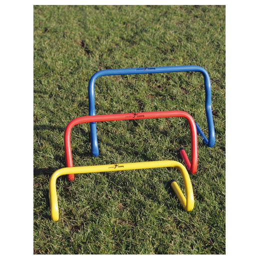 Precision Step Training Hurdle